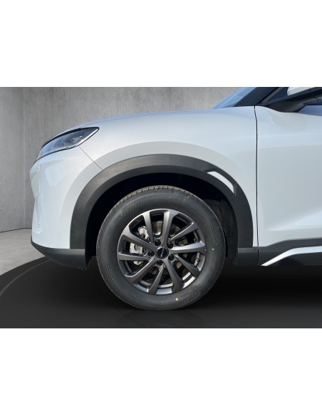 S2DF4BNBNO69_15.jpg
